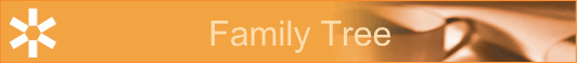 Family Tree