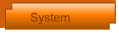 System